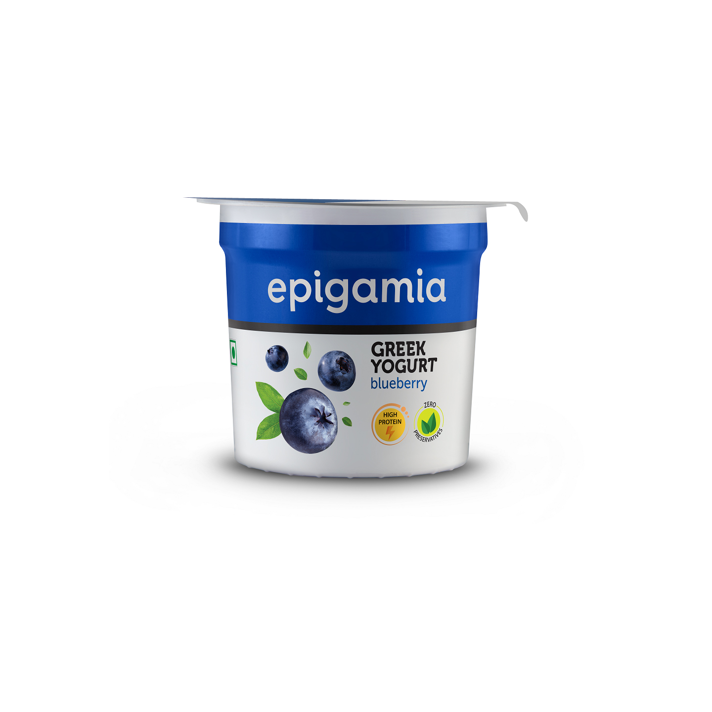 Epigamia Blueberry Greek Yogurt 90Gms