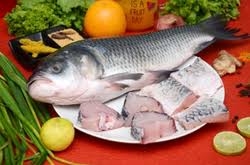 Catla Fish Curry Cut/Bengali Cut with Head 500 gms