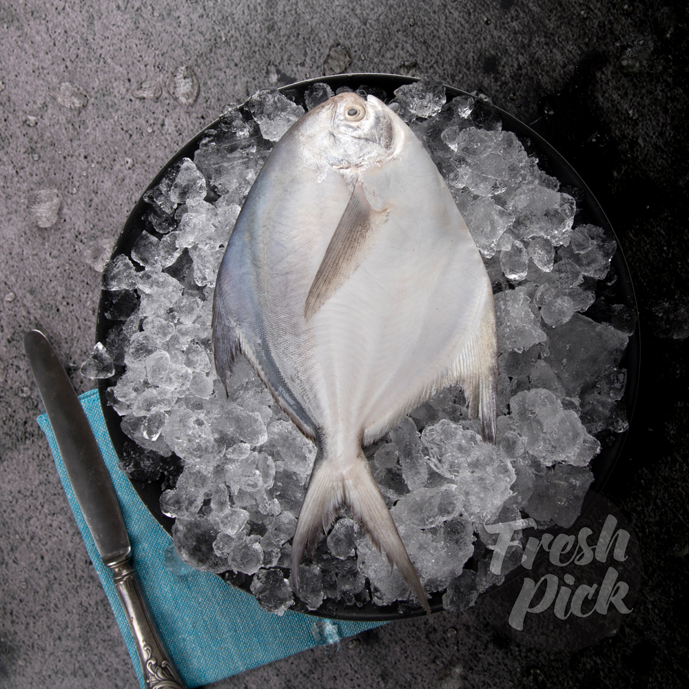 Pomfret 400g-500g | Deep Sea fished | Protein-Rich | 100gms provides 25% of the daily protein needs of an avg adult | Large (1 piece)