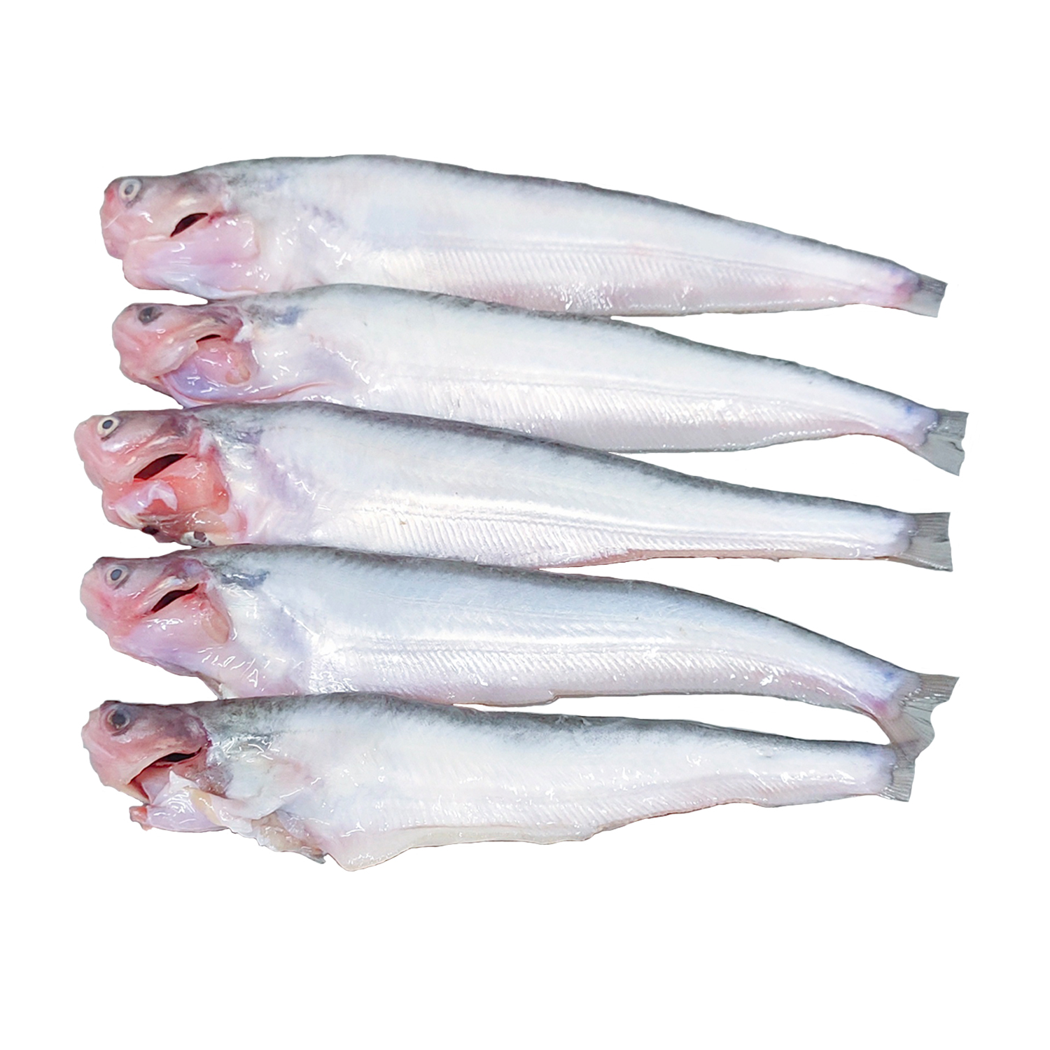 Pabda Fish Whole cleaned 500Gms (4-6pieces)