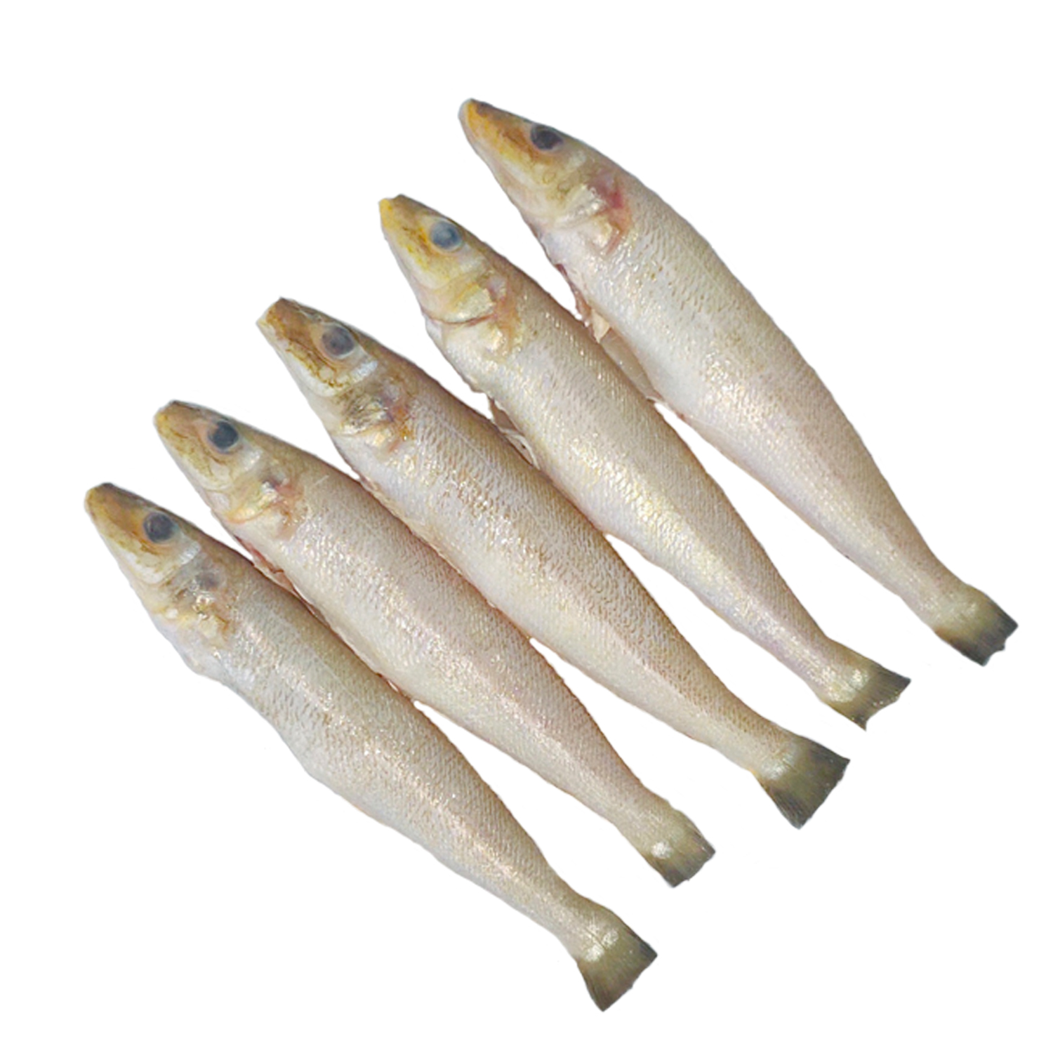 Lady Fish Whole Clean 500Gms pack - 4-6pcs